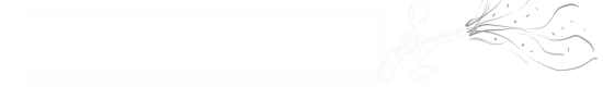 Confetti Cannon Direct logo